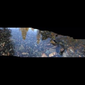 Meet your Posher, Selvin